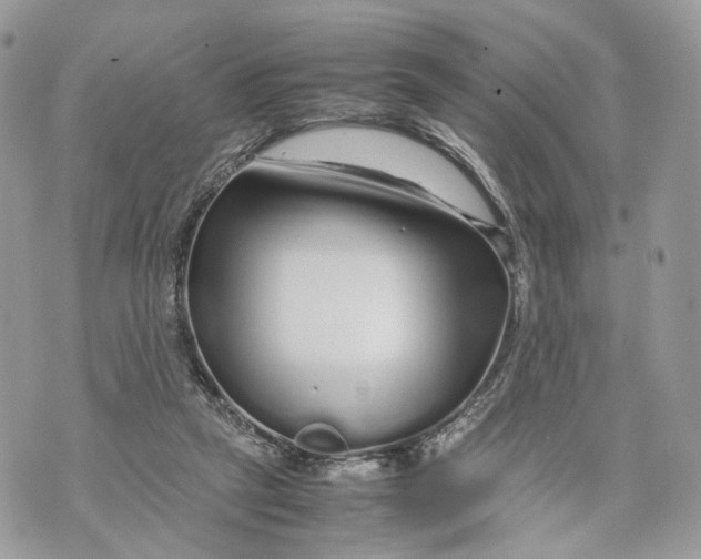 X0000070190257200606161558