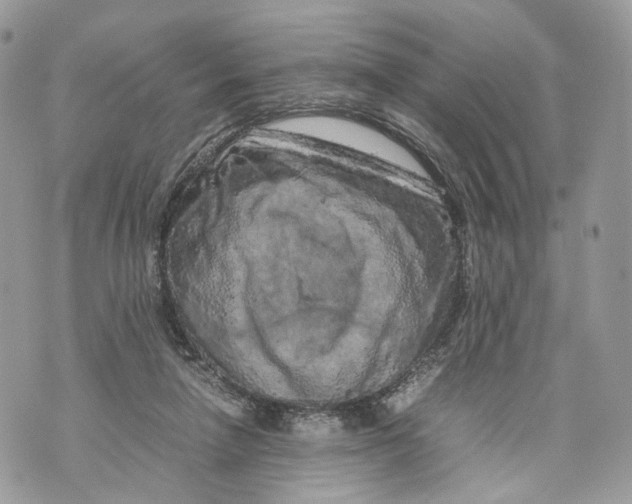 X0000070190258200606161558