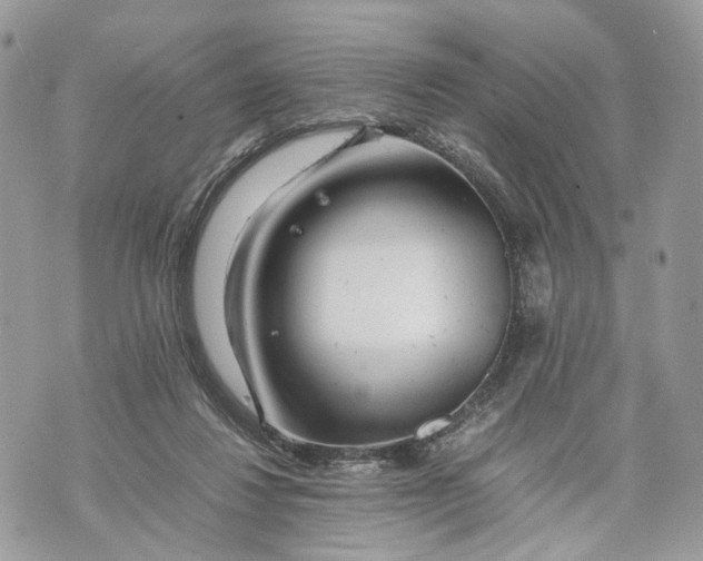 X0000070190260200606161558