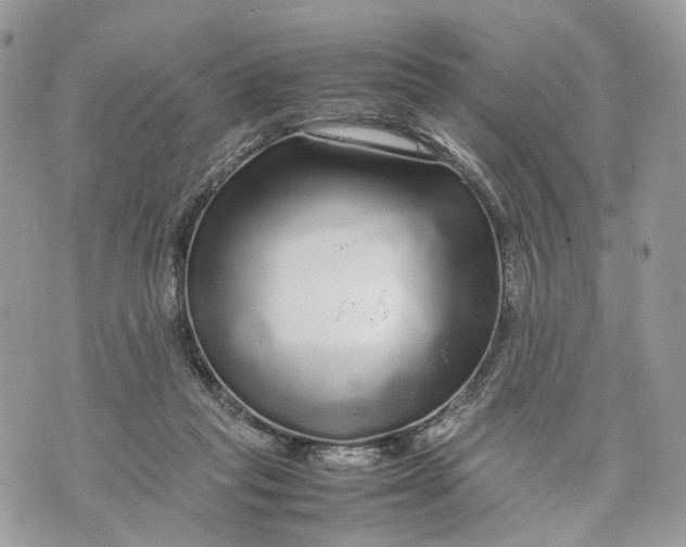 X0000070190261200606161558