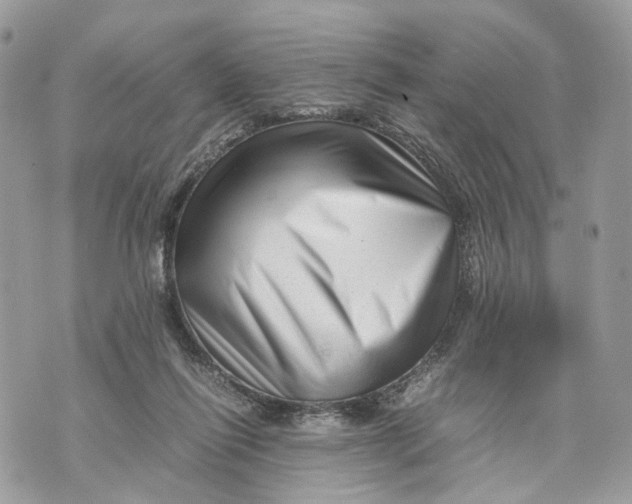 X0000070190262200606161558