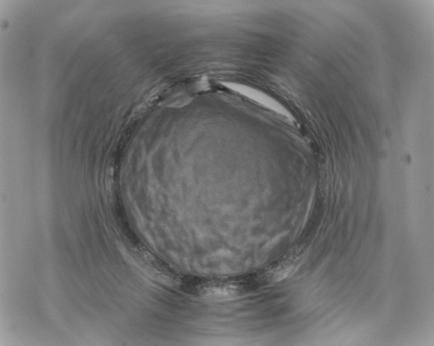 X0000070190263200606161558