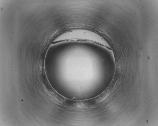 X0000070190264200606161558