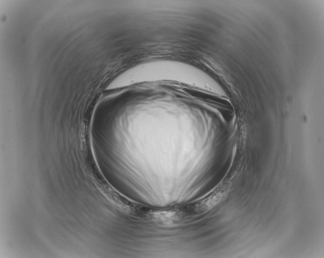 X0000070190265200606161558