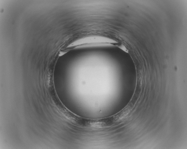 X0000070190268200606161558