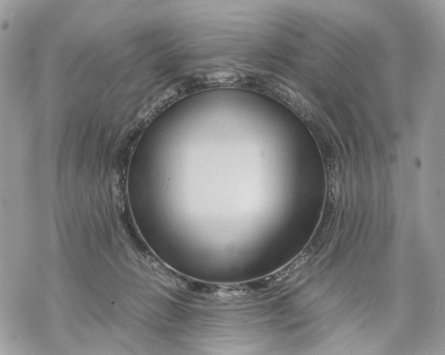 X0000070190270200606161558