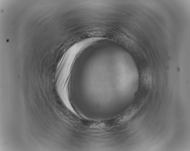 X0000070190271200606161558