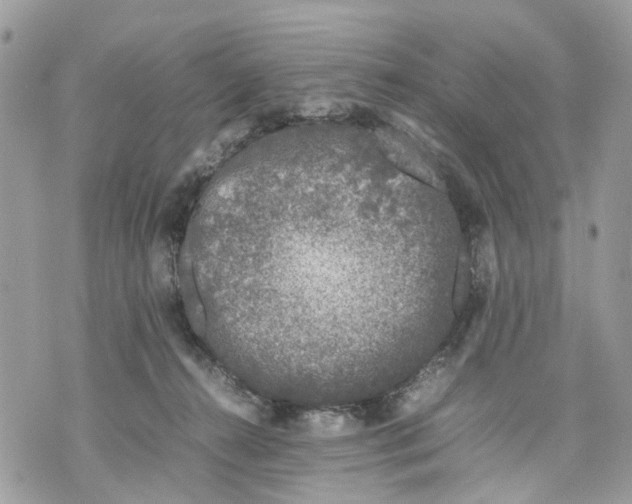 X0000070190272200606161558