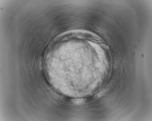 X0000070190273200606161558