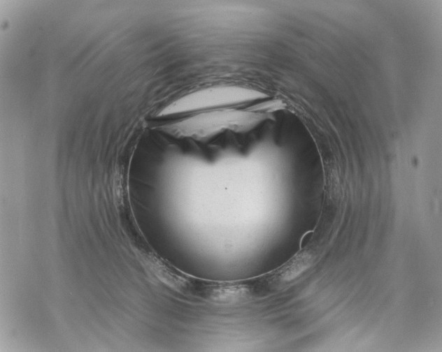 X0000070190274200606161558