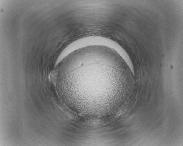 X0000070190276200606161558