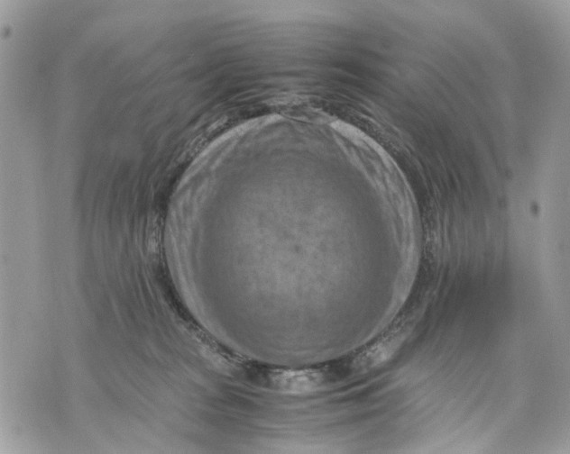 X0000070190277200606161558