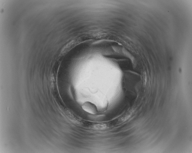 X0000070190279200606161559