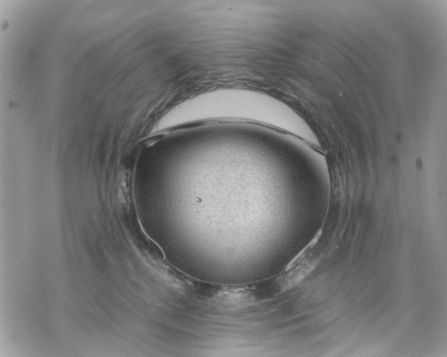 X0000070190280200606161559