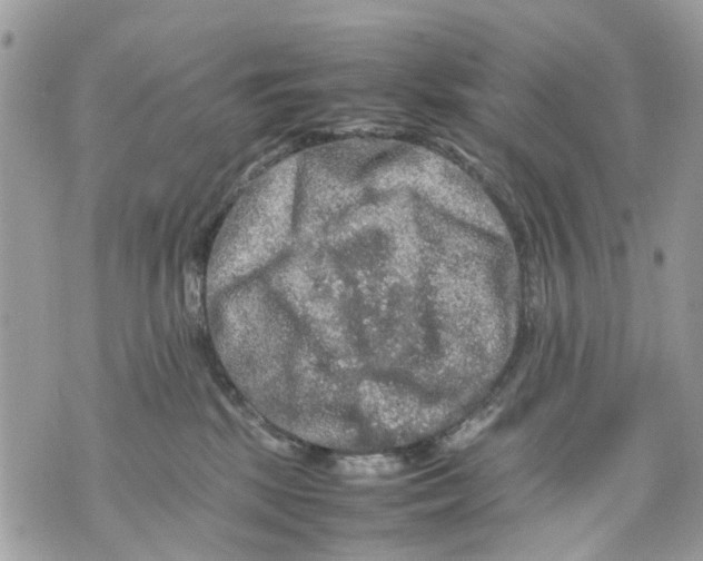 X0000070190281200606161559