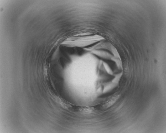 X0000070190282200606161559