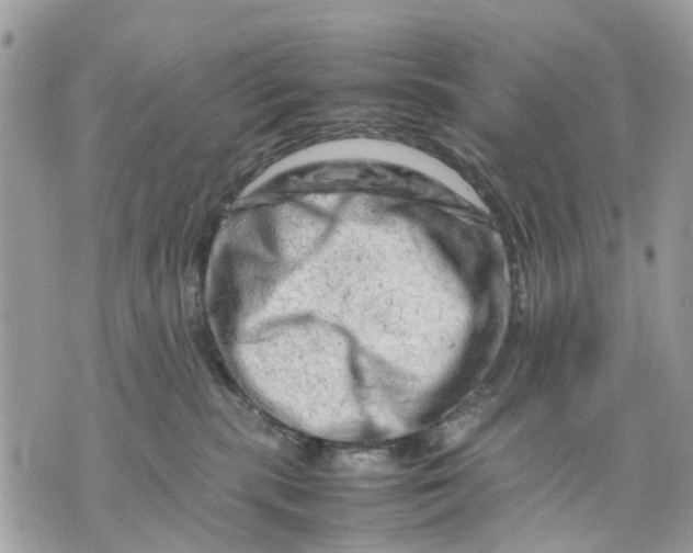 X0000070190283200606161559