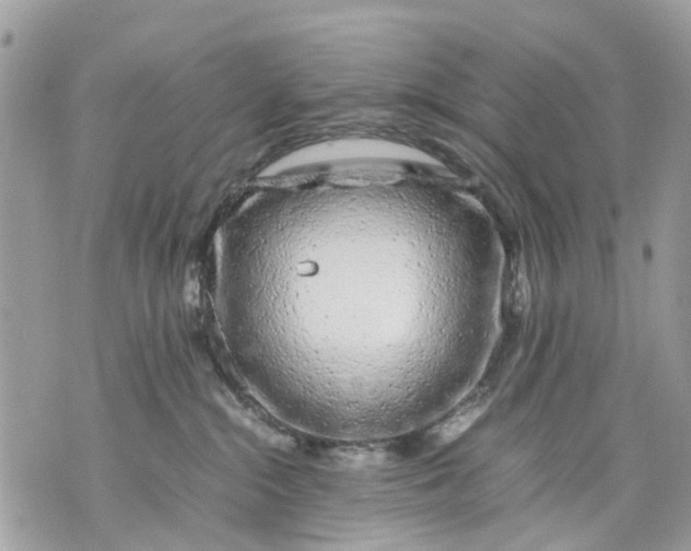 X0000070190284200606161559