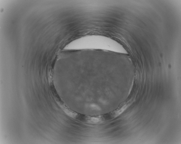 X0000070190285200606161559