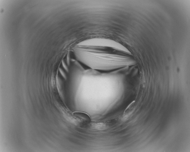 X0000070190287200606161559