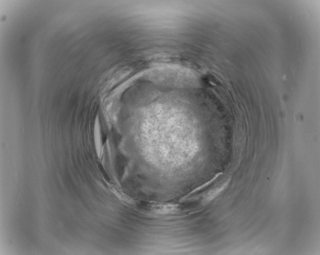 X0000070190288200606161559