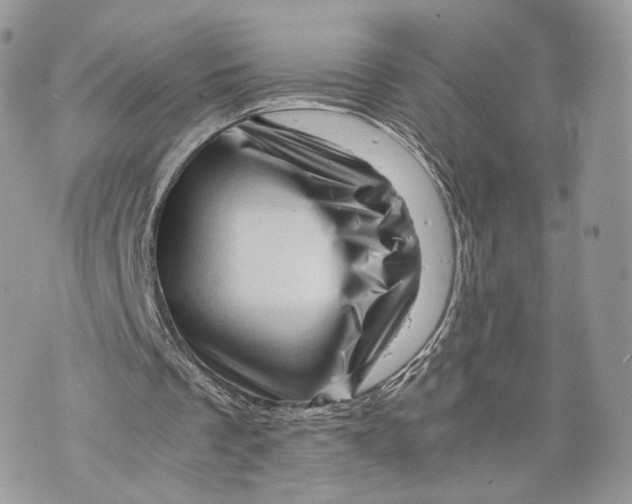 X0000070190289200606161558