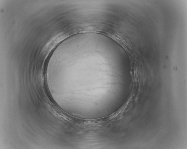 X0000070190290200606161558