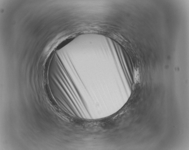 X0000070190291200606161558