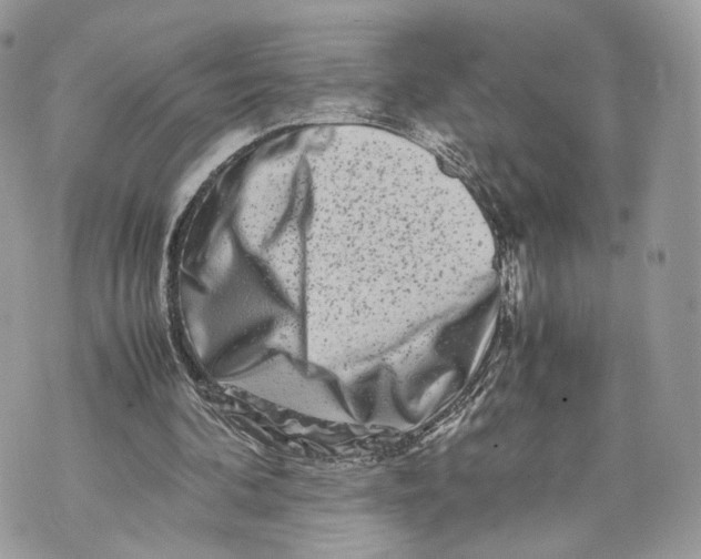 X0000070190292200606161558