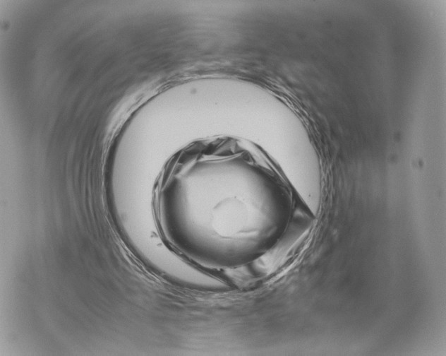 X0000070190293200606161558