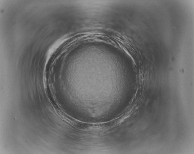 X0000070190294200606161558