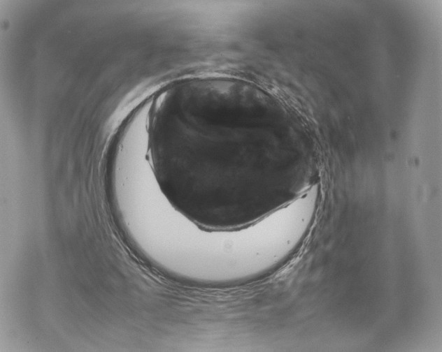 X0000070190295200606161558