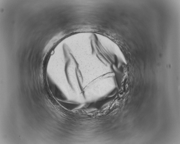 X0000070190296200606161558