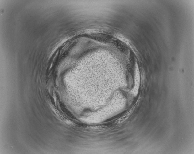 X0000070190297200606161558