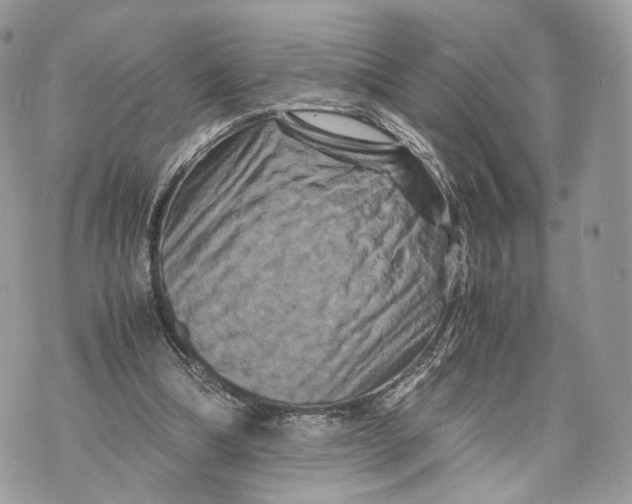 X0000070190298200606161558