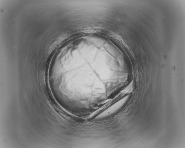 X0000070190299200606161558