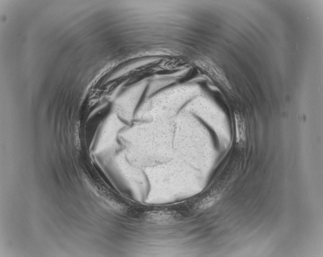 X0000070190300200606161558