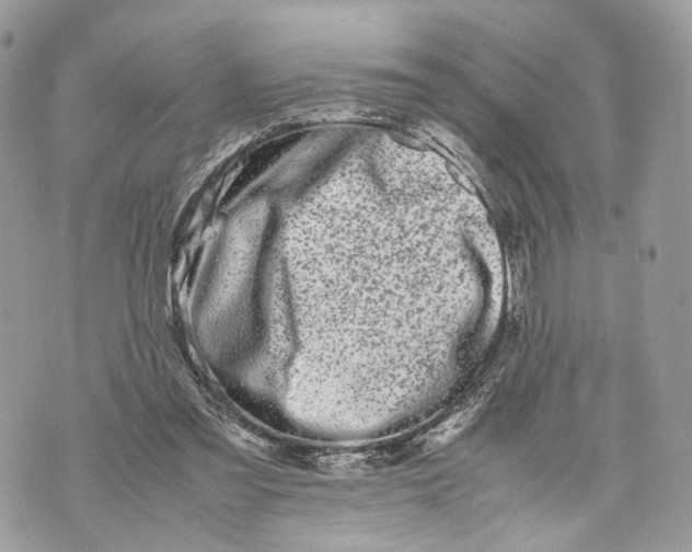 X0000070190301200606161558