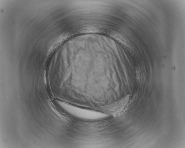 X0000070190302200606161558