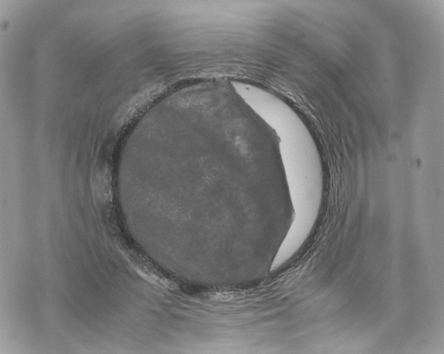 X0000070190303200606161558