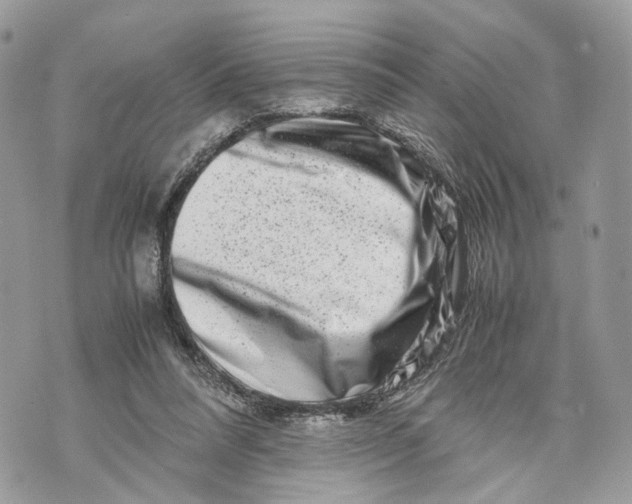 X0000070190304200606161558