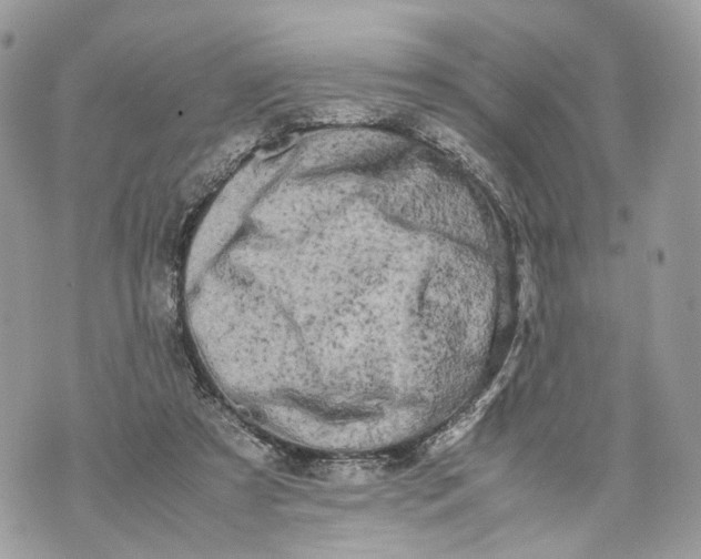 X0000070190305200606161558