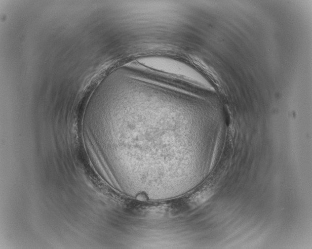 X0000070190306200606161558