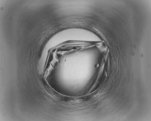 X0000070190307200606161558