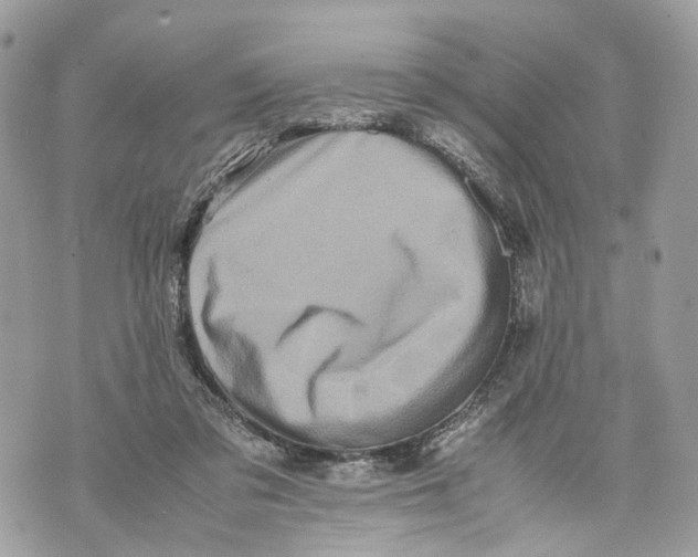 X0000070190309200606161558