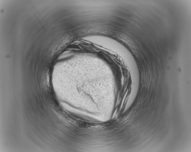 X0000070190310200606161558