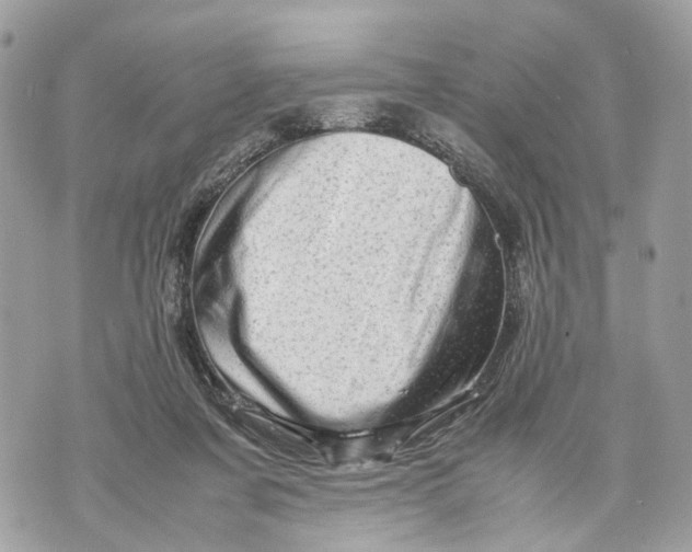 X0000070190311200606161558