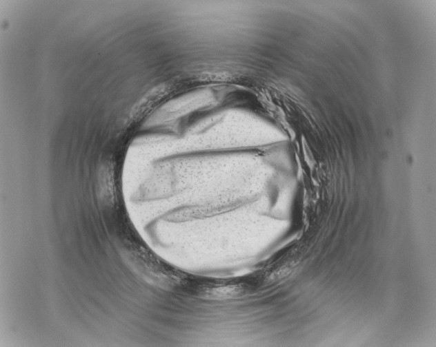 X0000070190312200606161558