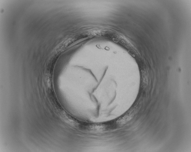 X0000070190313200606161558