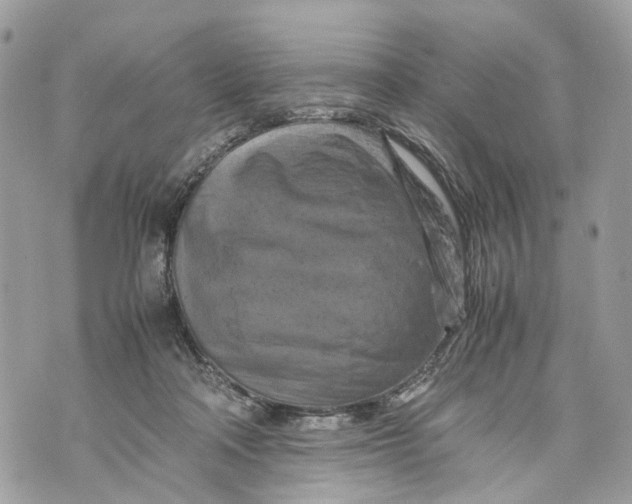 X0000070190314200606161557